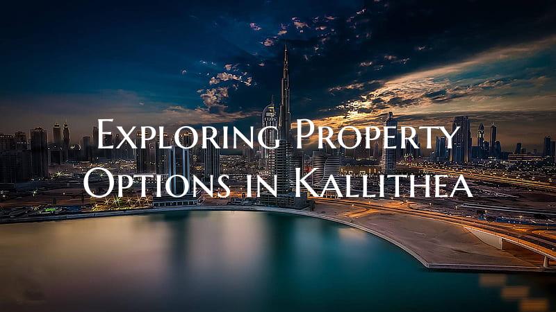 Exploring Property Options in Kallithea